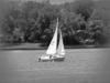 Sail boat on the water.